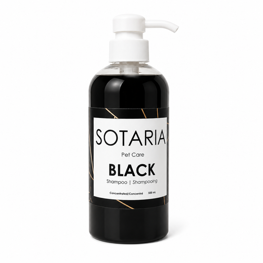 BLACK Shampoo concentrate